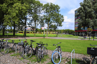 900279 Gezicht op het plantsoen aan de Padualaan te Utrecht, met rechts een deel van het gebouw van de Hogeschool ...